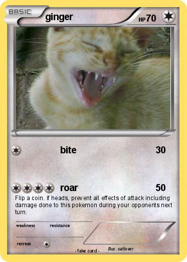 Pokemon ginger