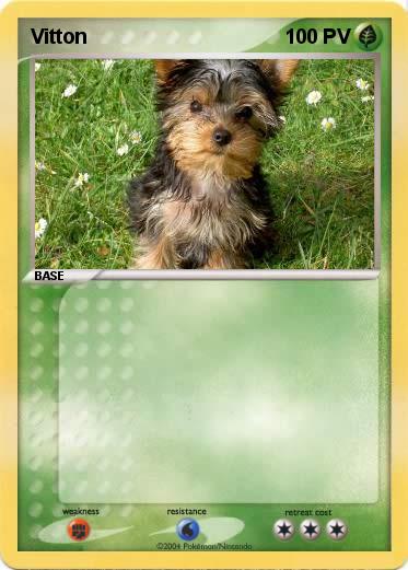 Pokemon Vitton
