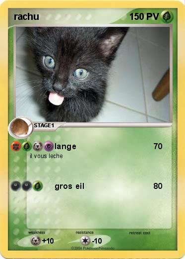 Pokemon rachu