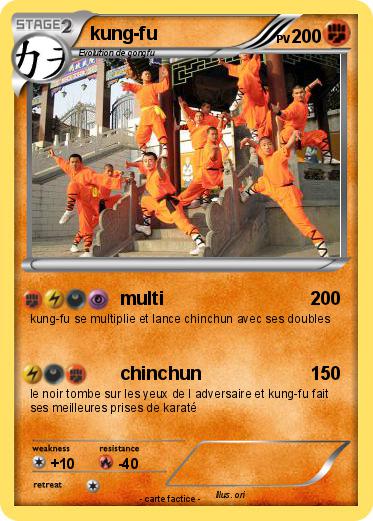 Pokemon kung-fu