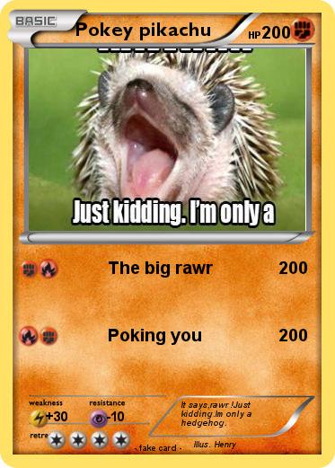 Pokemon Pokey pikachu