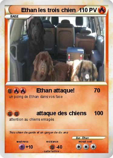 Pokemon Ethan les trois chien