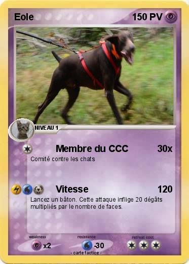 Pokemon Eole