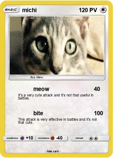 Pokemon michi