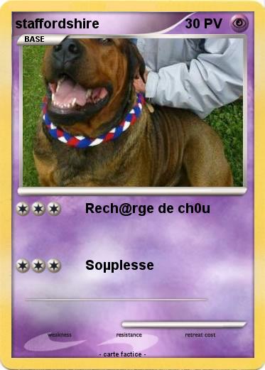 Pokemon staffordshire