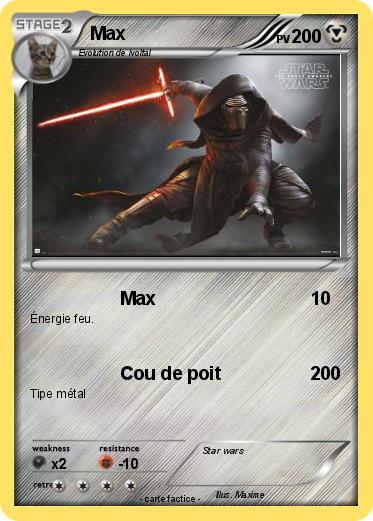 Pokemon Max