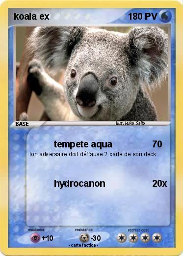 Pokemon koala ex