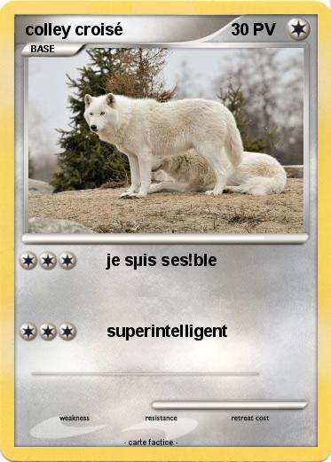 Pokemon colley croisé