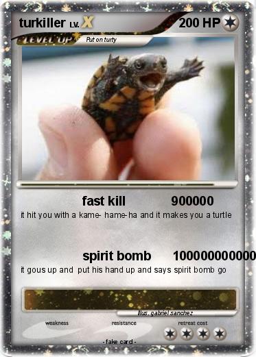 Pokemon turkiller