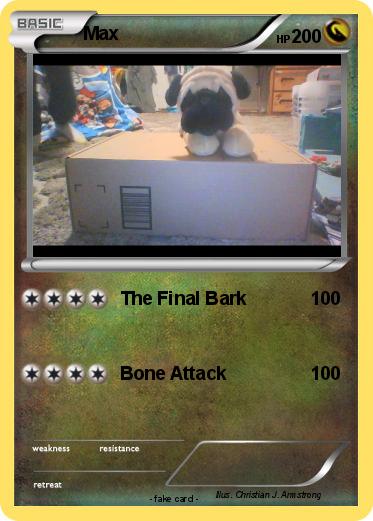 Pokemon Max