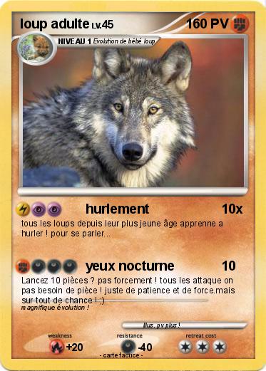 Pokemon loup adulte
