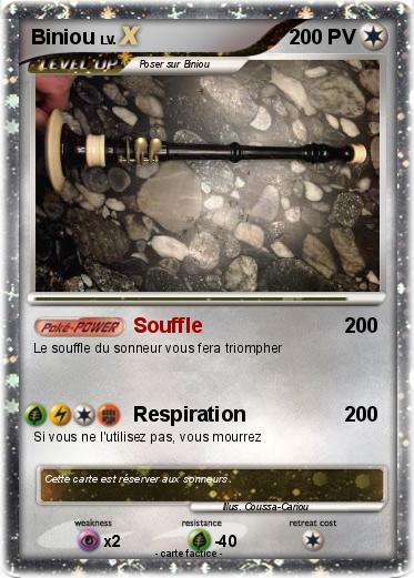 Pokemon Biniou