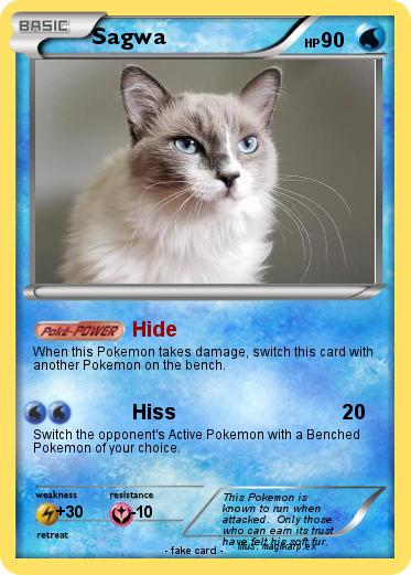 Pokemon Sagwa