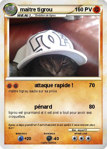 Pokemon maitre tigrou
