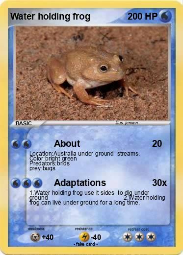 Pokemon Water holding frog