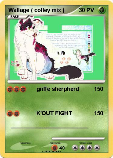 Pokemon Wallage ( colley mix )