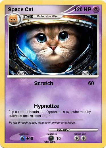 Pokemon Space Cat