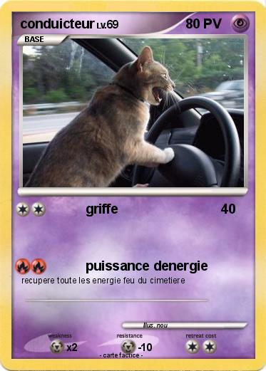 Pokemon conduicteur