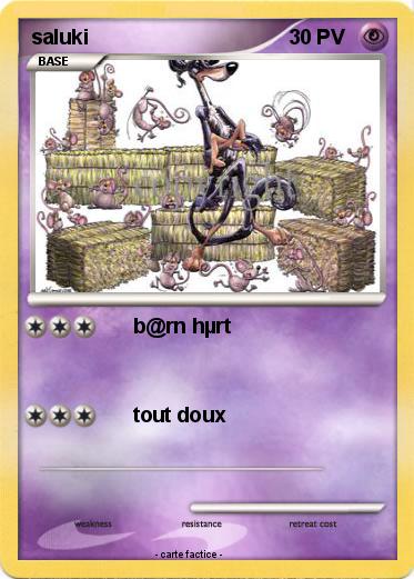 Pokemon saluki