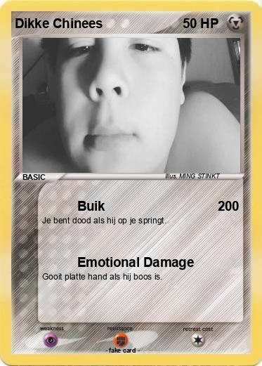 Pokemon Dikke Chinees