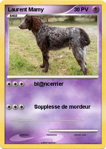 Pokemon Laurent Mamy