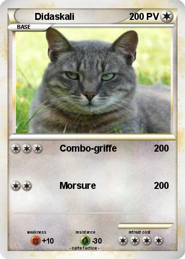 Pokemon Didaskali