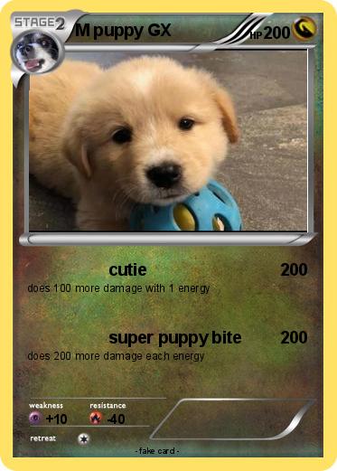 Pokemon M puppy GX