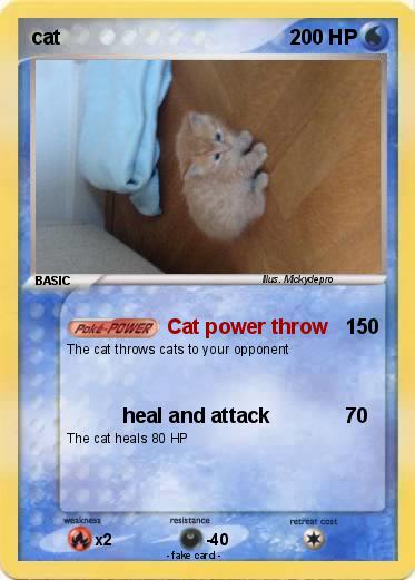 Pokemon cat