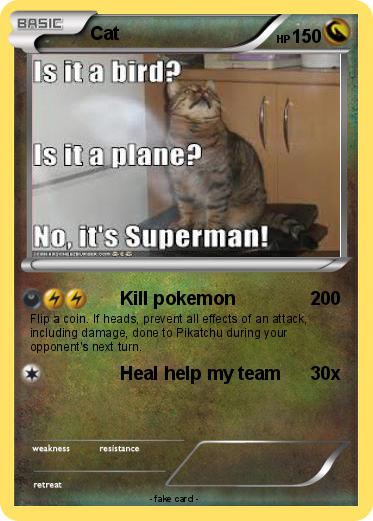 Pokemon Cat