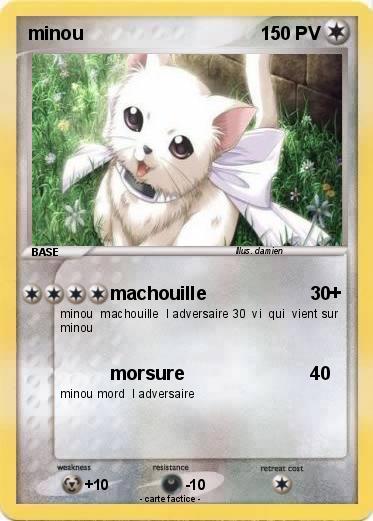 Pokemon minou