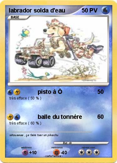 Pokemon labrador solda d'eau