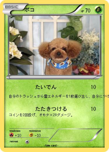 Pokemon ポコ