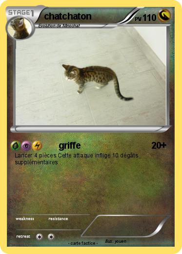 Pokemon chatchaton