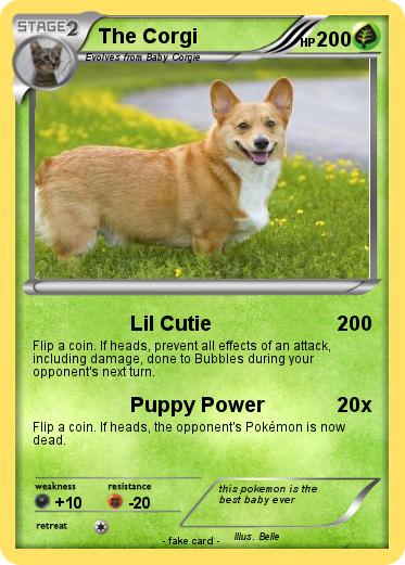 Pokemon The Corgi