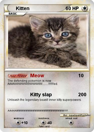 Pokemon Kitten