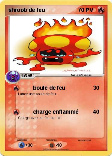 Pokemon shroob de feu