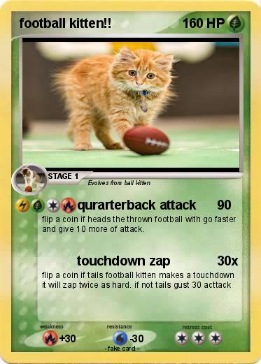 Pokemon football kitten!!