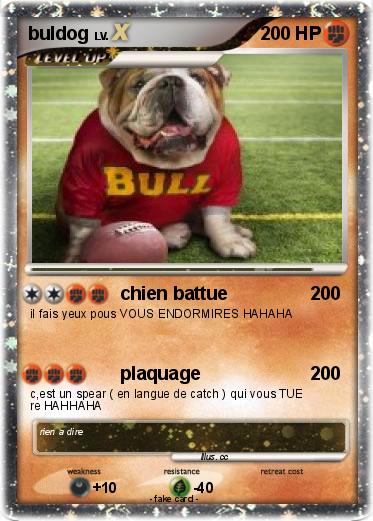 Pokemon buldog