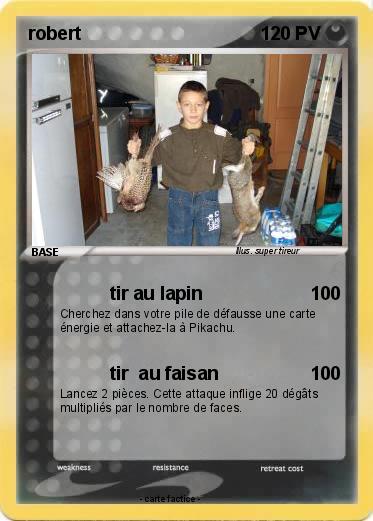 Pokemon robert