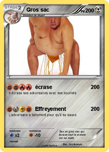 Pokemon Gros sac