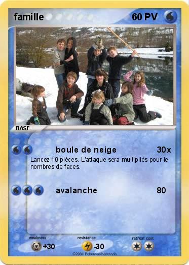 Pokemon famille