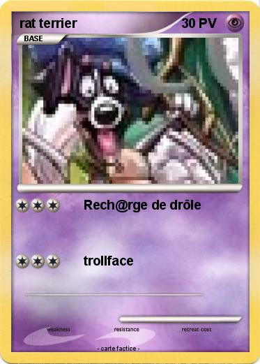 Pokemon rat terrier