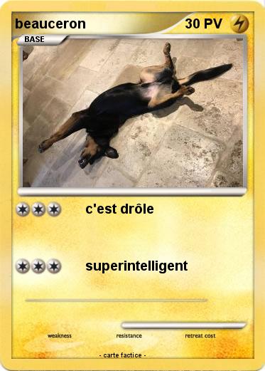 Pokemon beauceron