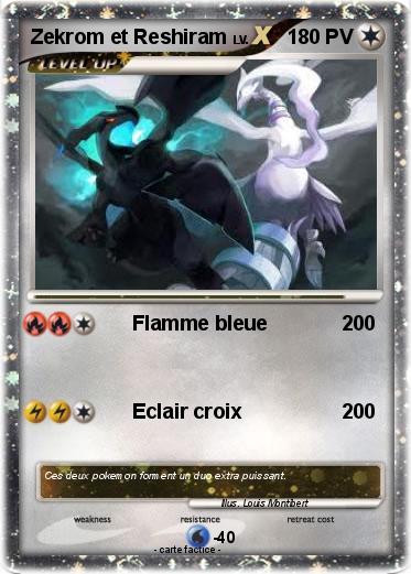 Pokemon Zekrom et Reshiram