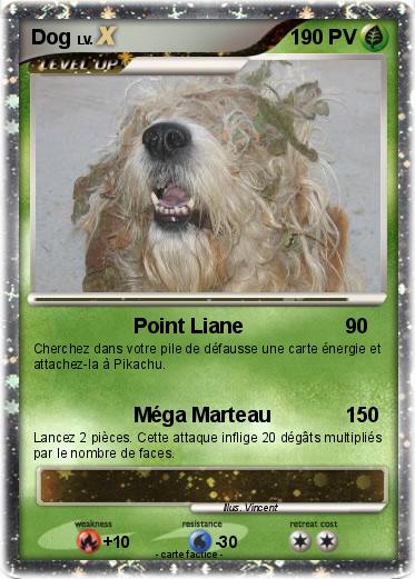 Pokemon Dog