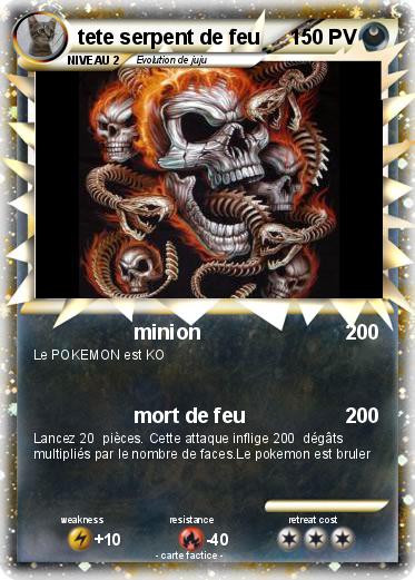 Pokemon tete serpent de feu
