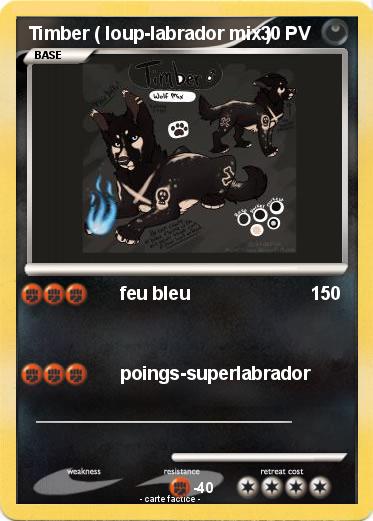 Pokemon Timber ( loup-labrador mix )