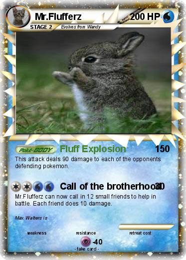 Pokemon Mr.Flufferz