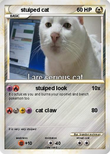 Pokemon stuiped cat