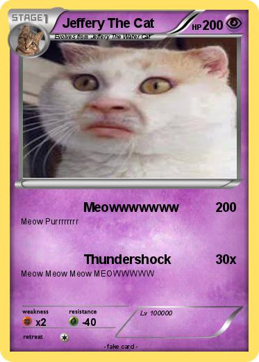 Pokemon Jeffery The Cat